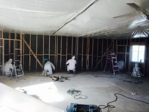 Mold-Removal-Remediation-On-Site.